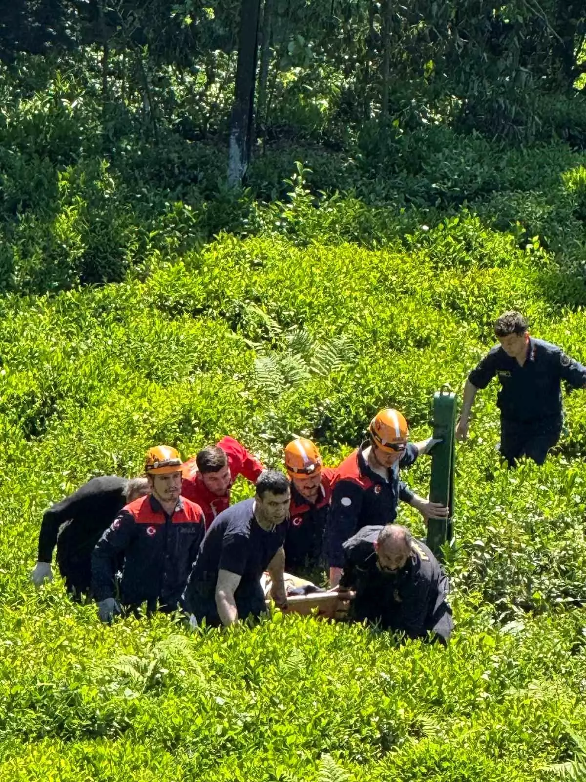 Rize'de Yamaçtan Düşen Çay İşçisi AFAD ile Kurtarıldı