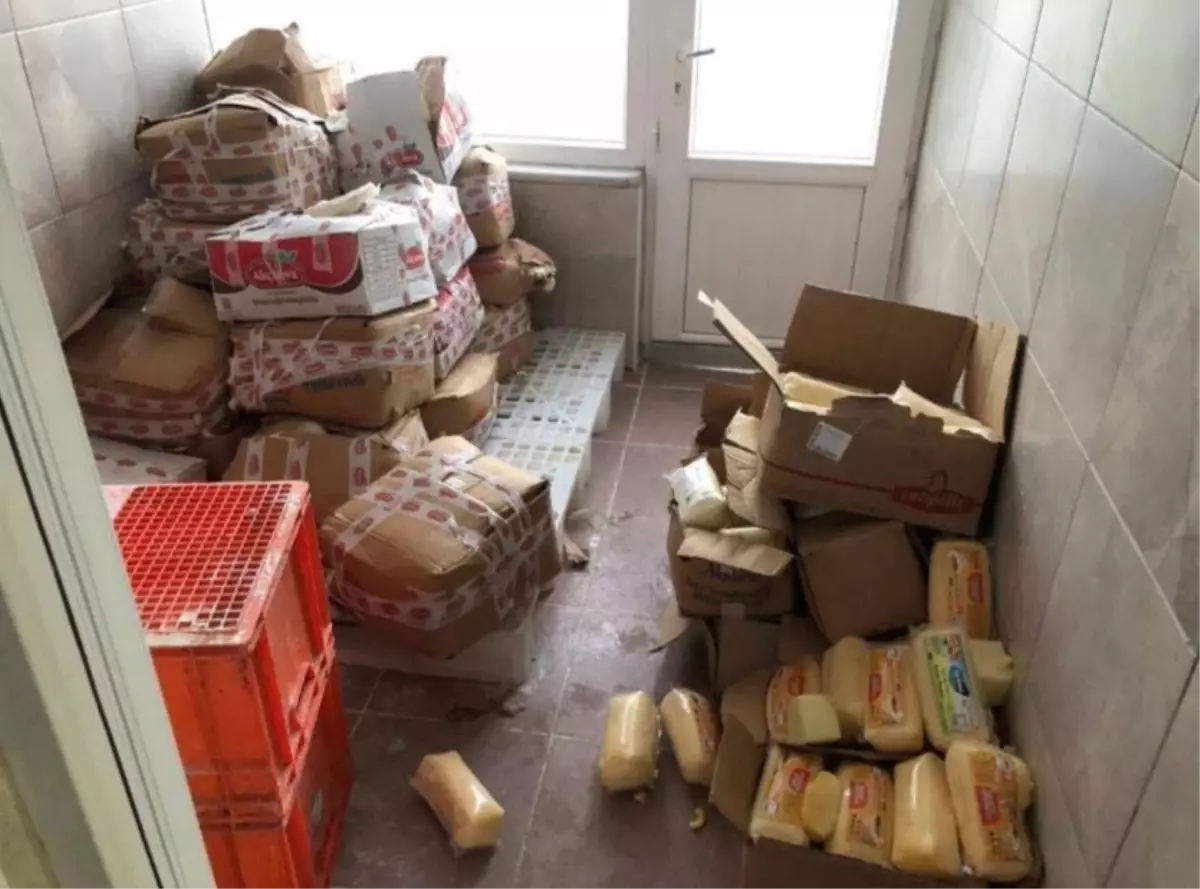 Sakarya'da Sahte Kaşar Peyniri Operasyonu: 5 Ton Ele Geçirildi