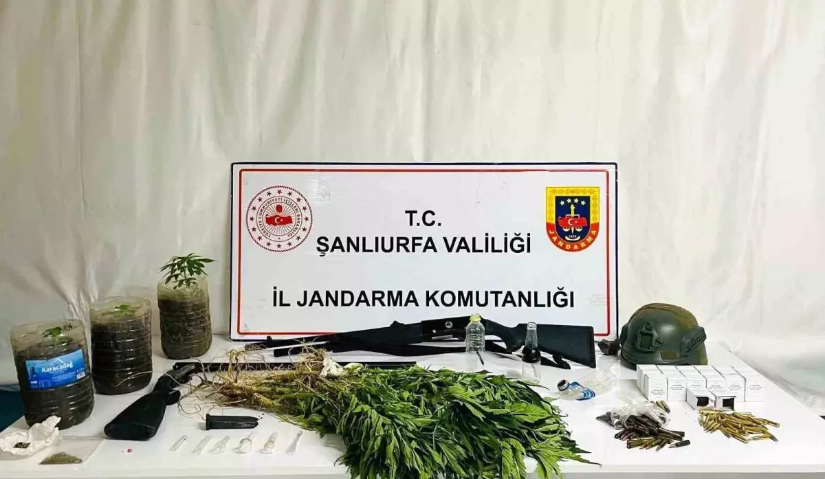 Siverek'te Uyuşturucu Operasyonu: 42 Gözaltı