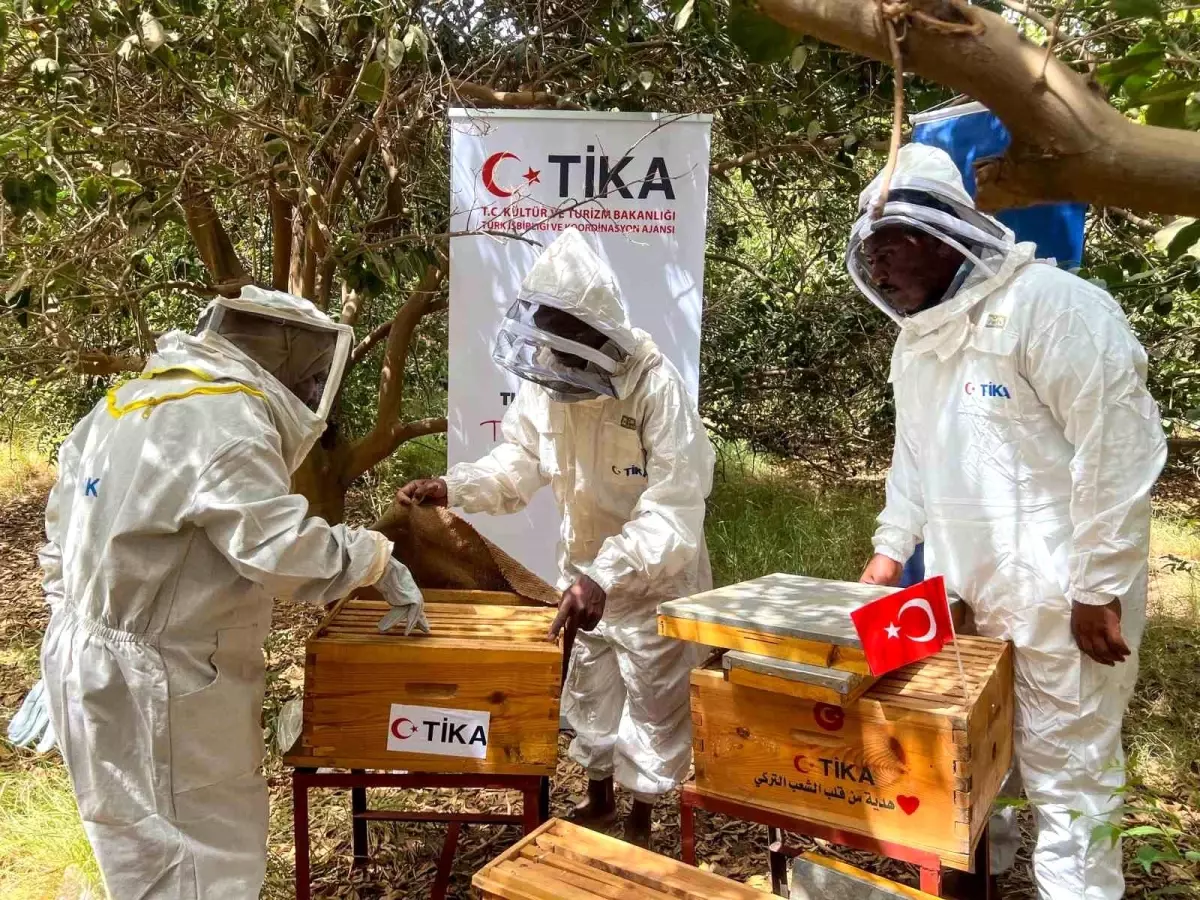 TİKA'dan Sudan'daki Arıcılara Destek