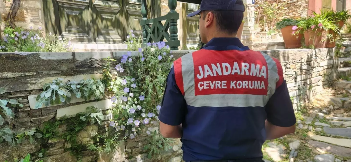 Tüylü Çan Çiçeğini Koparanlara 577 Bin TL Ceza!
