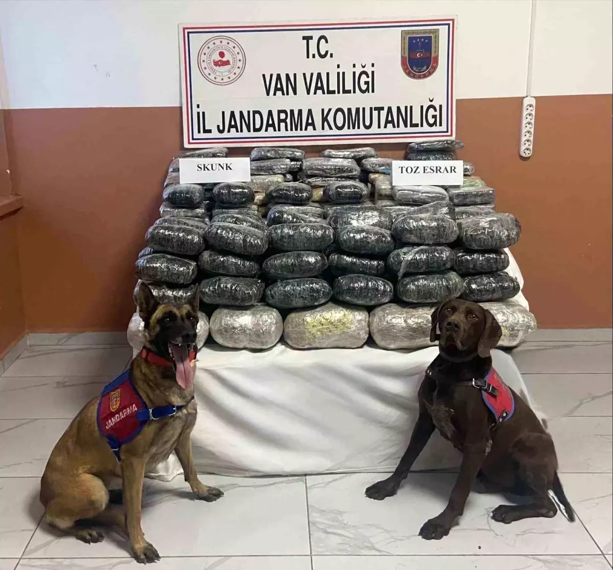 Van'da Uyuşturucu Operasyonunda 90 Kilo Uyuşturucu Ele Geçirildi