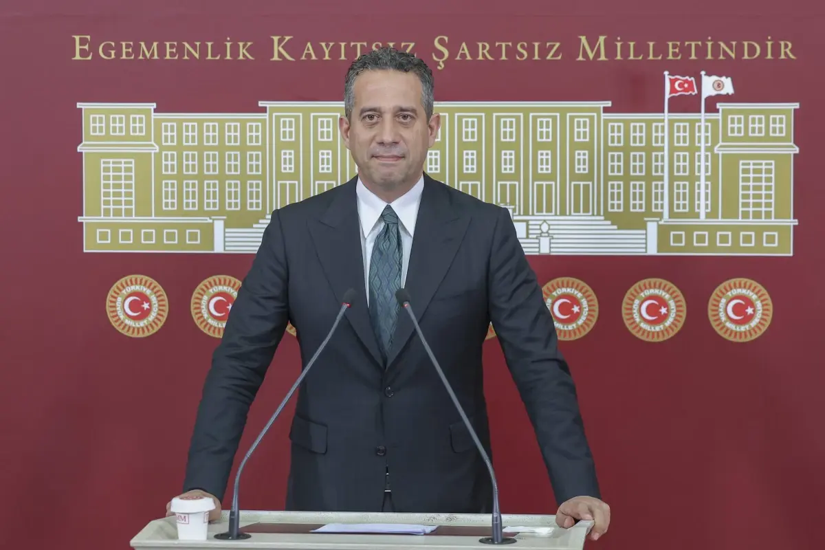 CHP'li Başarır: 'Yeni anayasa ilk seçimde gelecek olan partimizin iktidar milletvekilleri tarafından yapılacak'