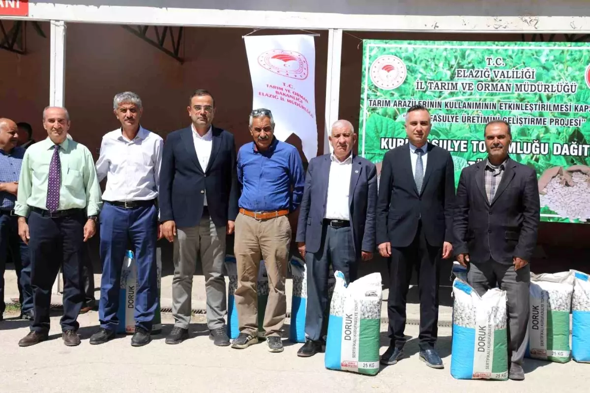 Elazığ'da Yüzde 75 Hibeli 15 Ton Sertifikalı Fasulye Tohumu Dağıtımı Başladı