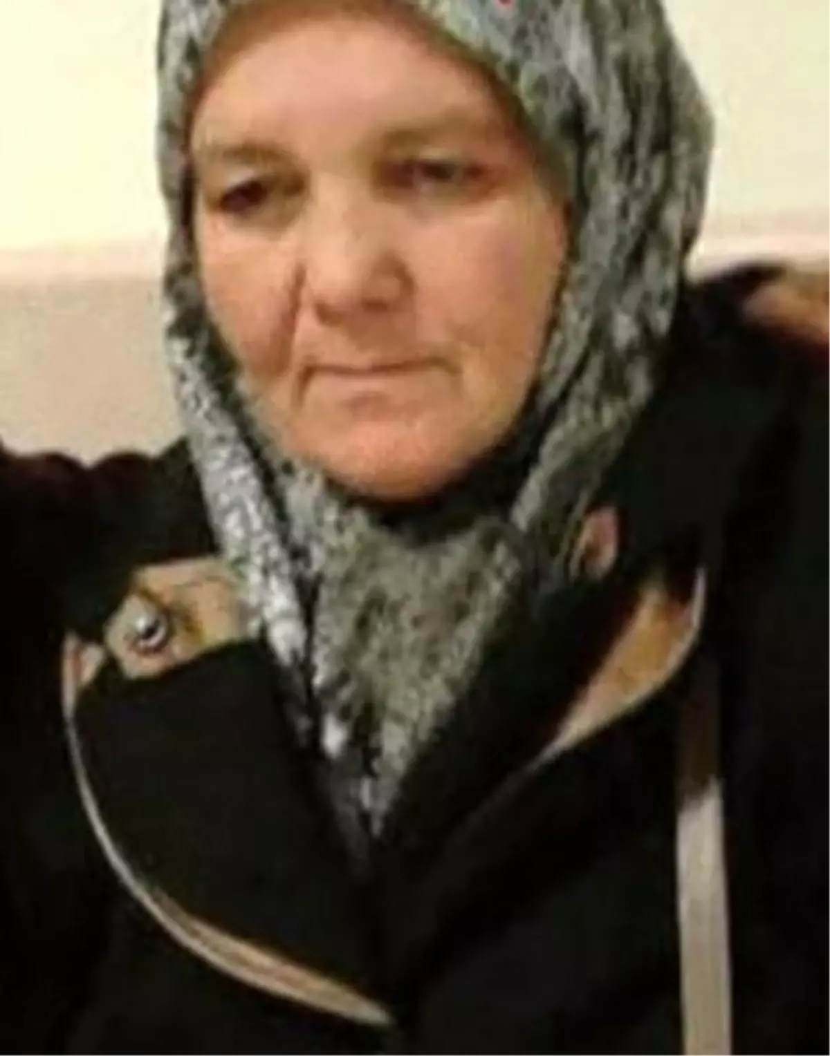 Çaybaşı'nda İntihar Olayında İki Tutuklama
