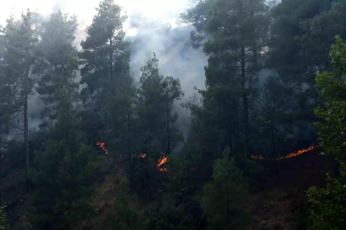 Kahramanmaraş'ta Orman Yangını Başladı