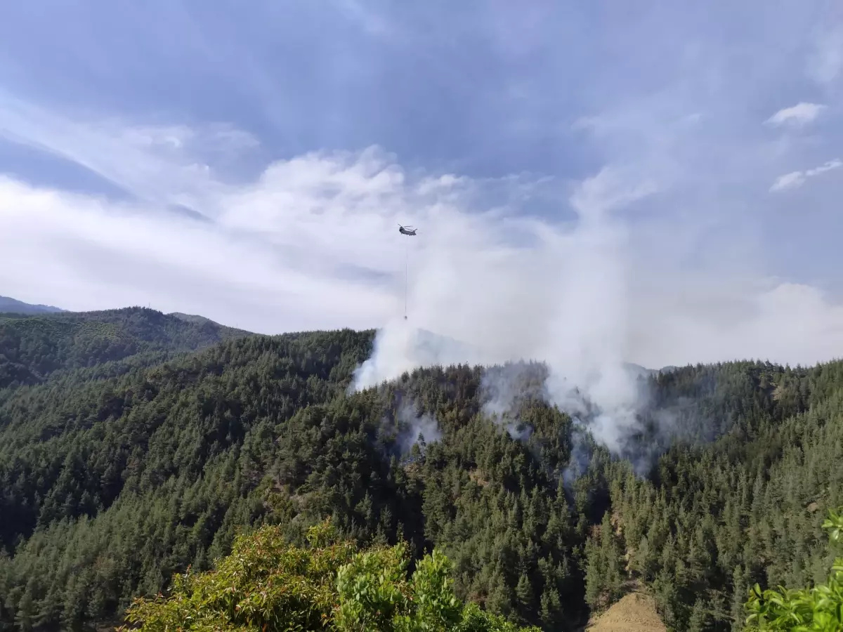 Kahramanmaraş'ta Orman Yangını: Ekipler Havadan ve Karadan Mücadele Ediyor