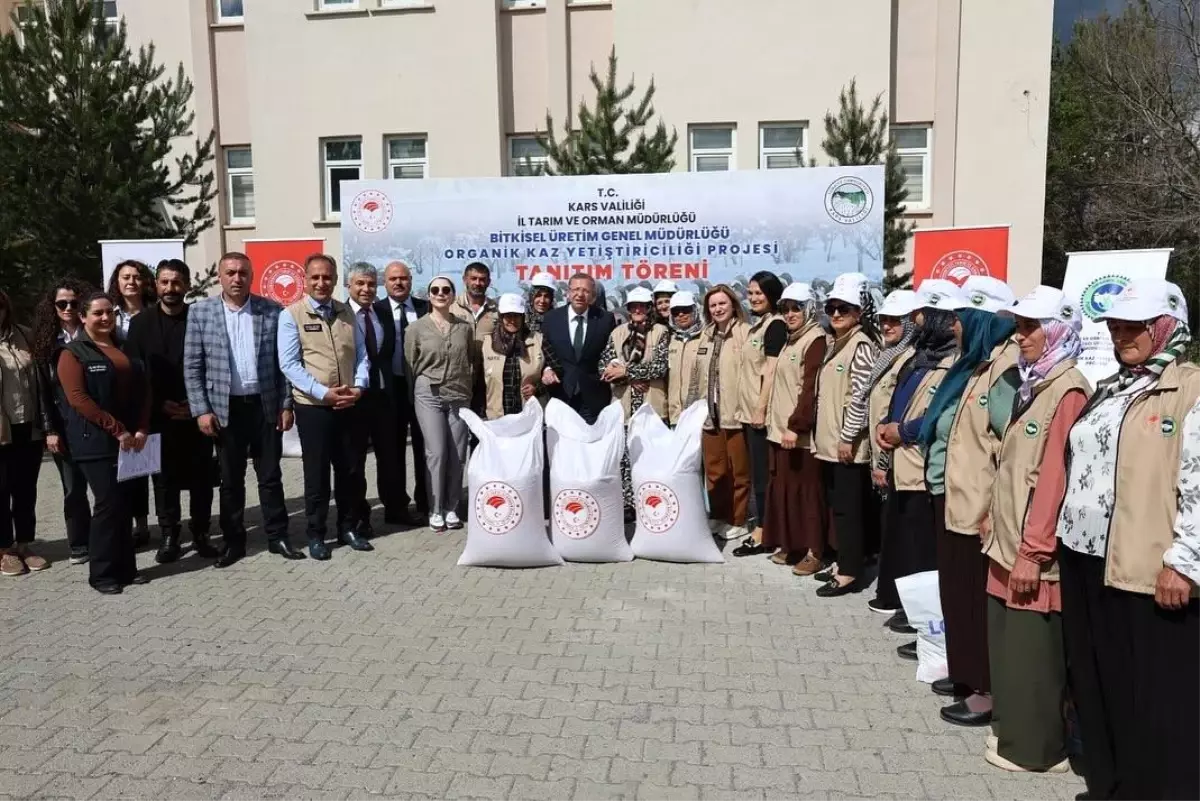 Kars'ta Organik Kaz Yetiştiriciliği Projesi Başlatıldı