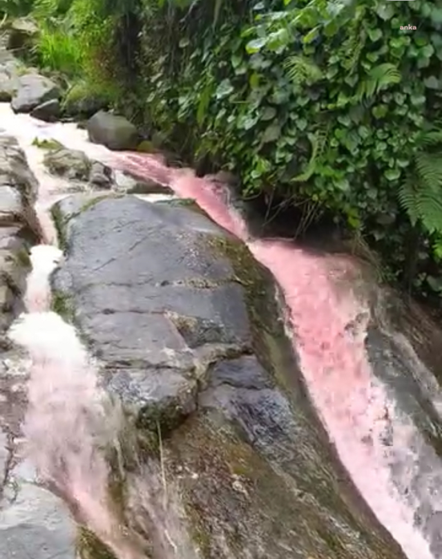 The Stream Turning Red in Rize Caused Concern Among the Public