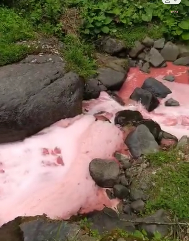 The Stream Turning Red in Rize Caused Concern Among the Public