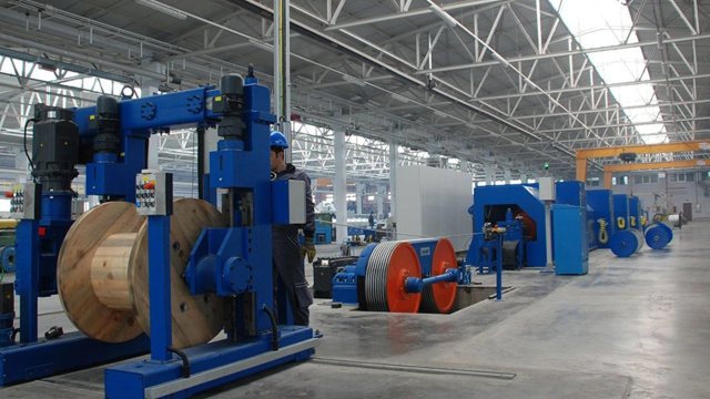 TMSF has put Anadolu's largest company up for sale
