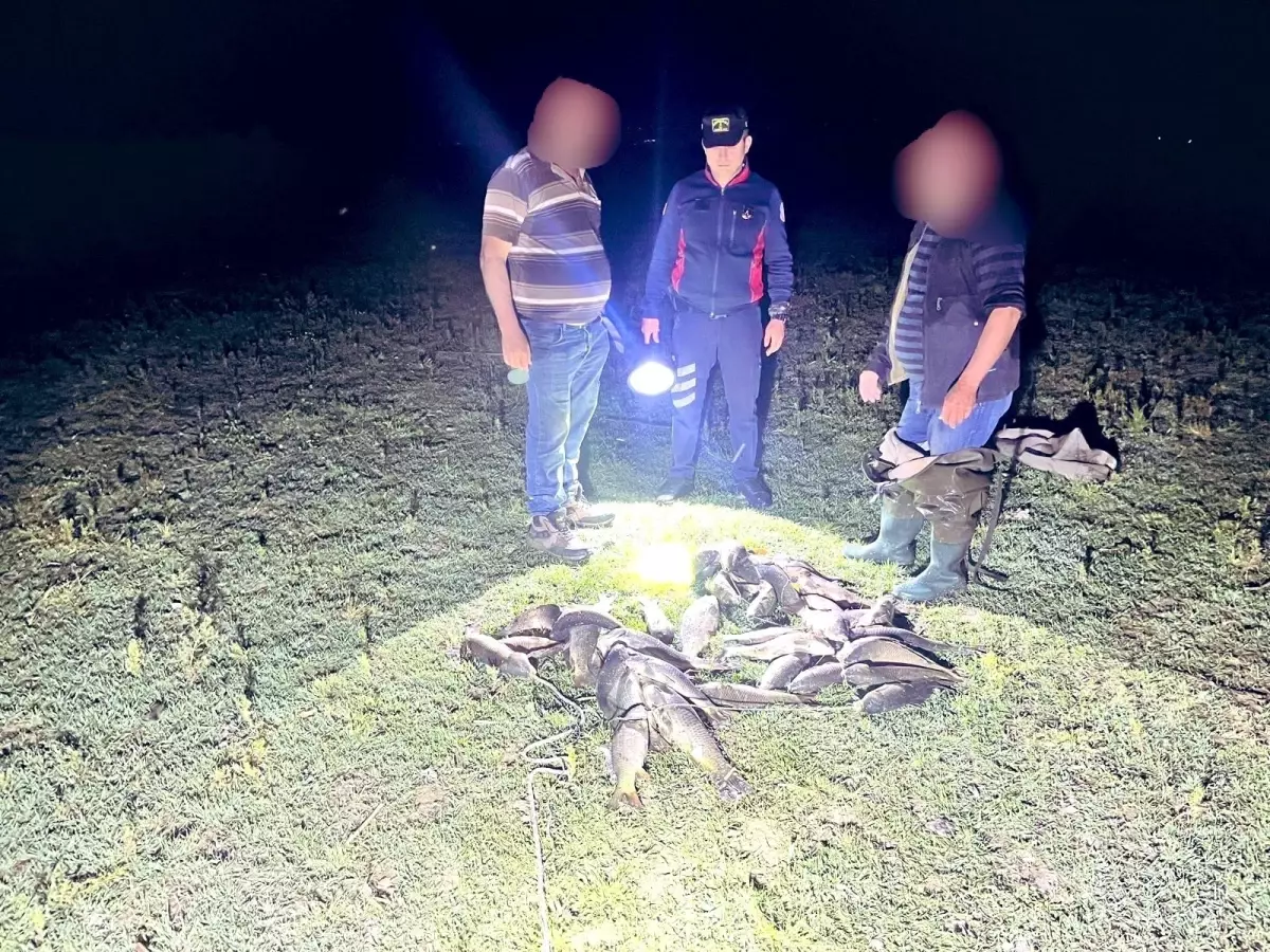 Bursa'da Kaçak Balık Avcılığına Baskın: 466 Kilo Balık Ele Geçirildi