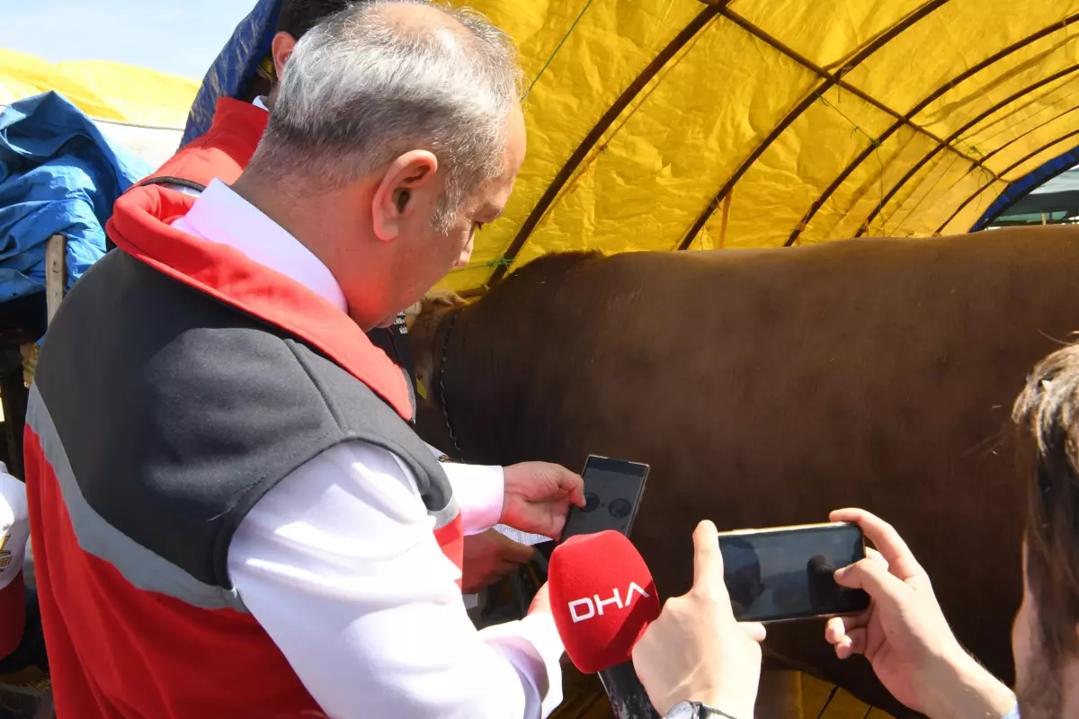 Ankara'da Kurban Bayramı İçin Denetimler Artırıldı