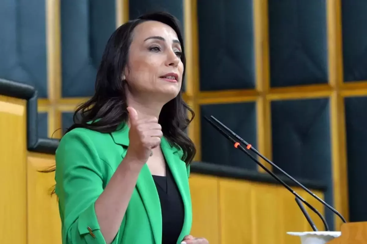 DEM Partili Hatimoğulları şart koştu: Demokratik topluma giden yol buradan geçer