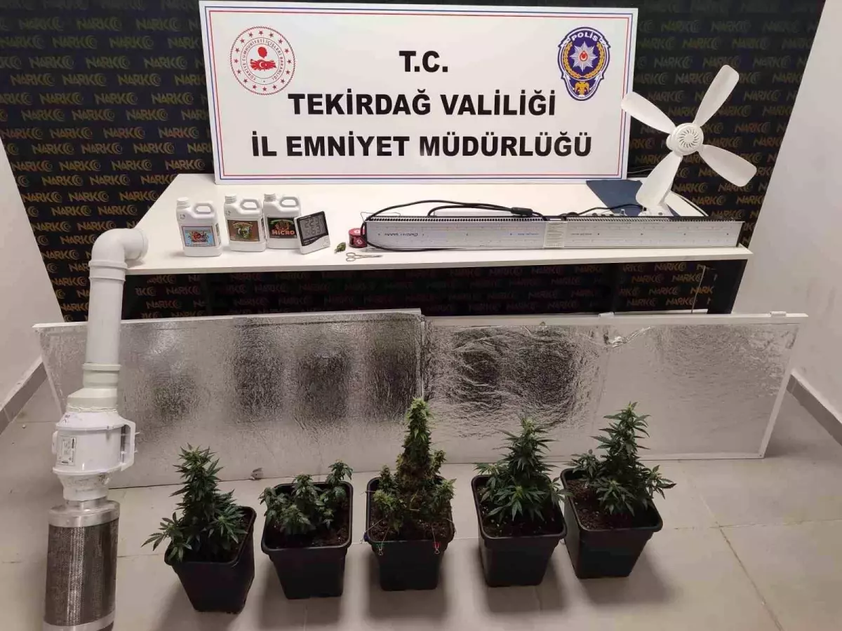 Tekirdağ'da Uyuşturucu Operasyonu: İki Adrese Baskın Yapıldı