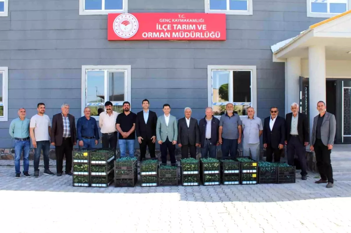 Bingöl'de Üreticilere 30 Bin Adet Sebze Fidesi Dağıtıldı
