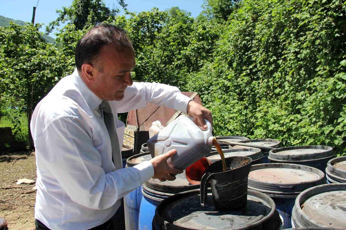 Giresun'da Balık Atıklarından Üretilen Sıvı Gübre ile Tarımda Yenilik