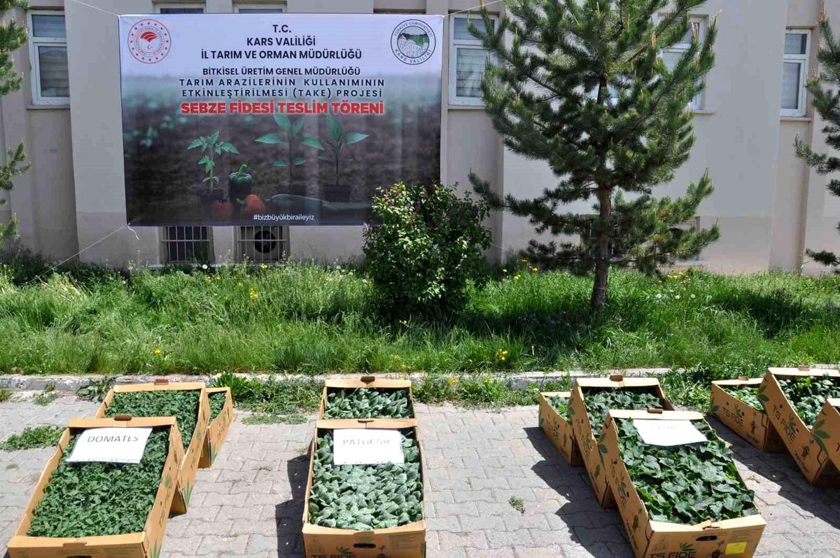Kars'ta Üreticilere Binlerce Sebze Fidesi Dağıtıldı