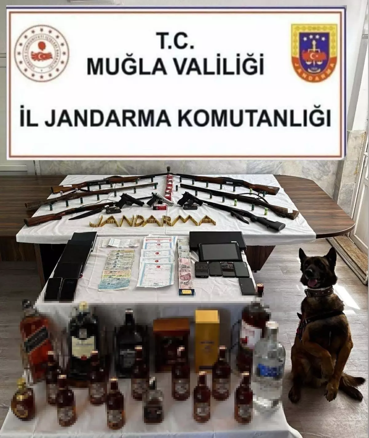 Köyceğiz'de Tefecilik Operasyonu: 6 Tutuklama
