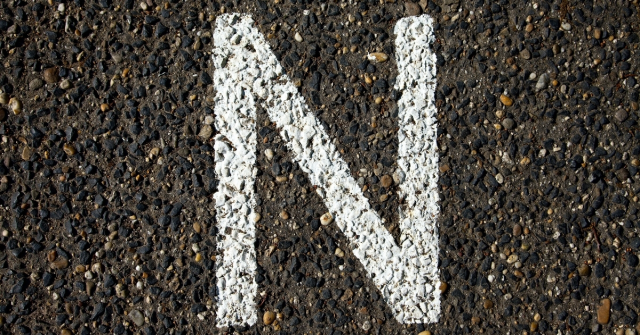 N harfiyle başlayan hayvanlar nelerdir? N ile başlayan hayvan ismi var mı? N harfiyle başlayan hayvanlar nelerdir? N ile başlayan hayvan ismi var mı?
