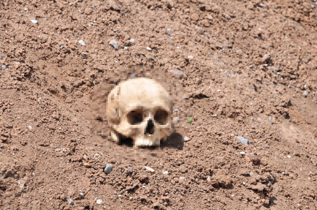 Human bones and a skull were found at the school construction site