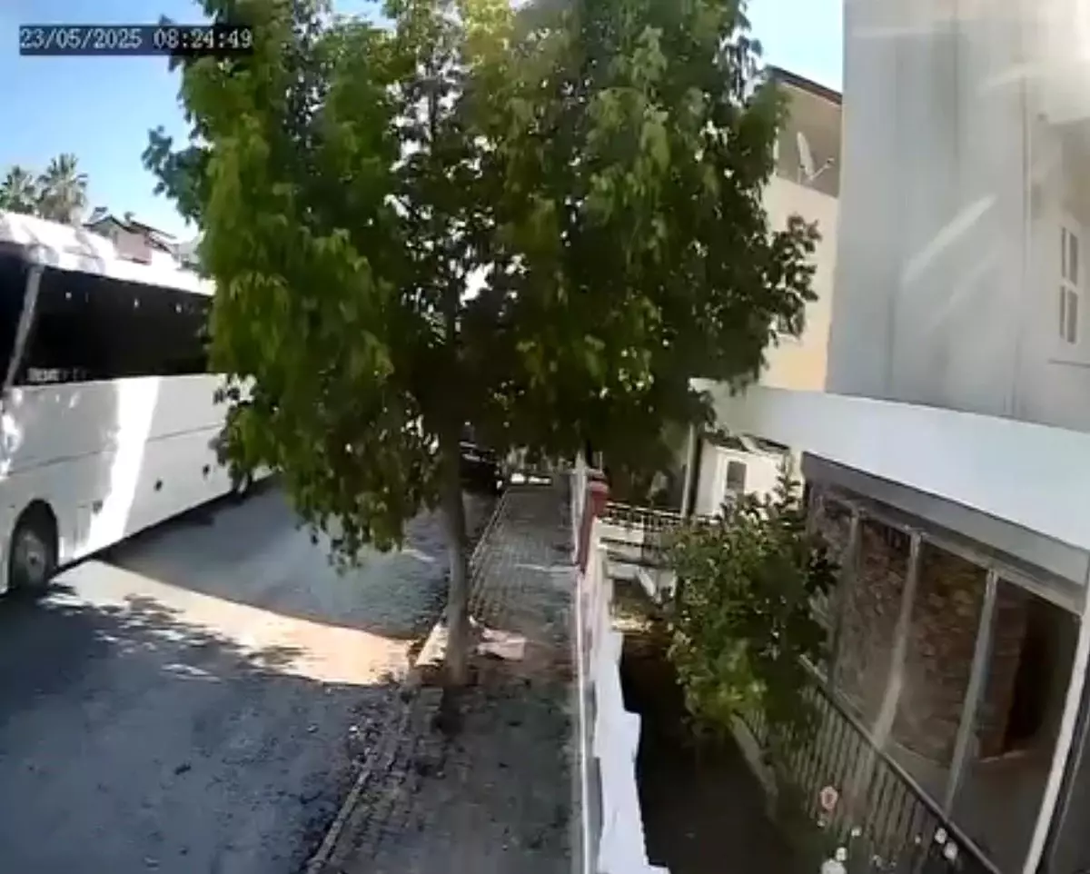 Tur Otobüsü Şoförü Sokak Köpeğini Ezdi!