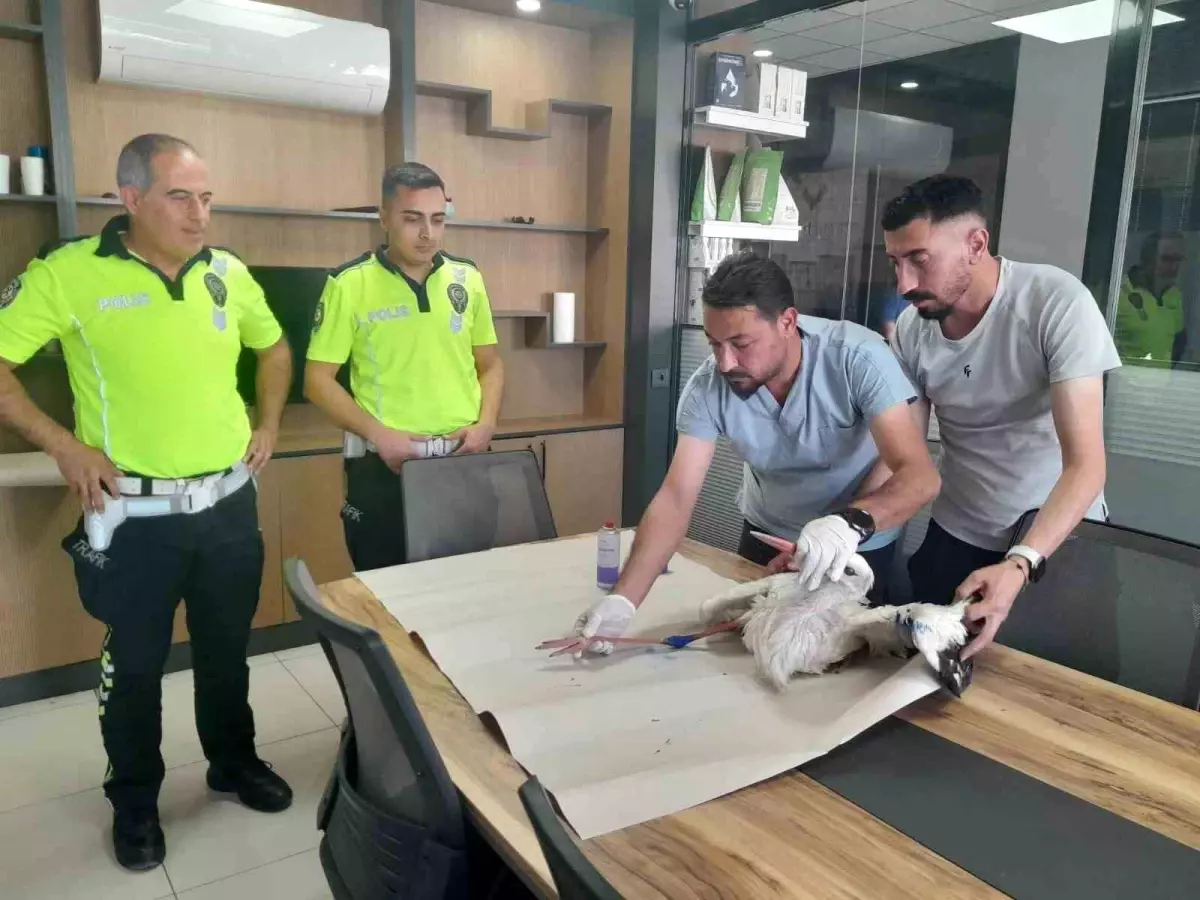 Polis Ekipleri Yaralı Leyleği Kurtardı