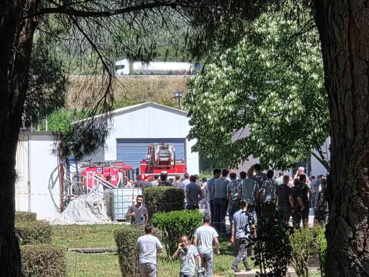 Bursa'daki Yat Fabrikasında Yangın Paniği