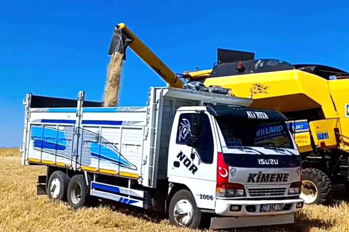 Gaziantep'te 2025 Yılı İlk Buğday Hasadı Düşük Rekolteyle Gerçekleşti