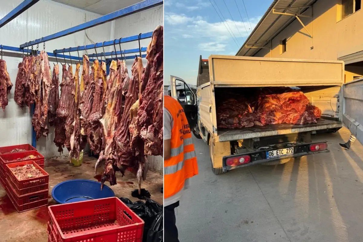 Hepsini vatandaşa yedireceklerdi! Tam 3 ton bozulmuş tek tırnaklı eti ele geçirildi