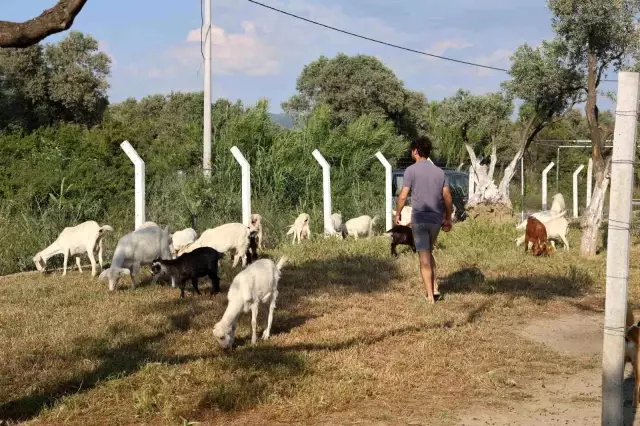 A graduate of two universities, people are surprised to hear about his job