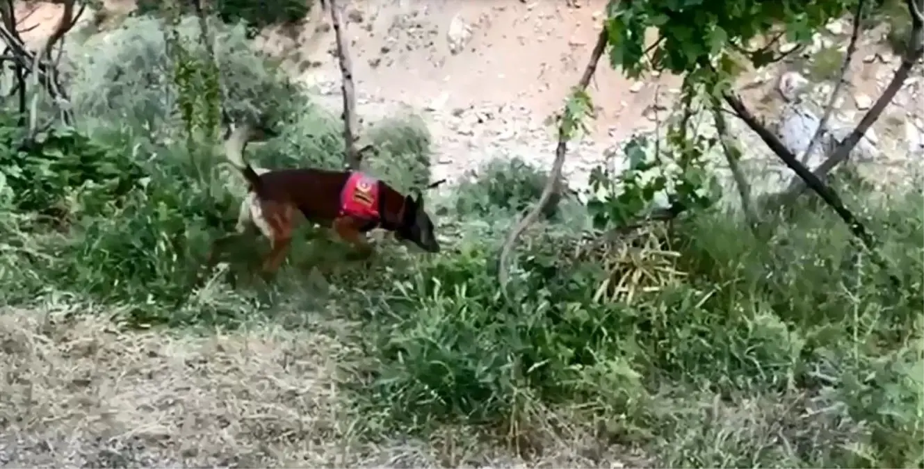 Bitlis'te 18 Kilo Esrar Ele Geçirildi