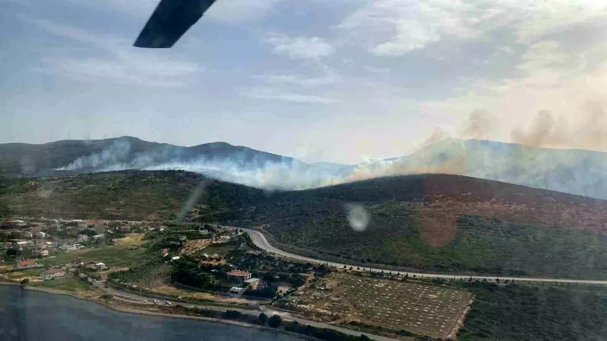 İzmir'de Makilik Alanda Yangın Çıktı