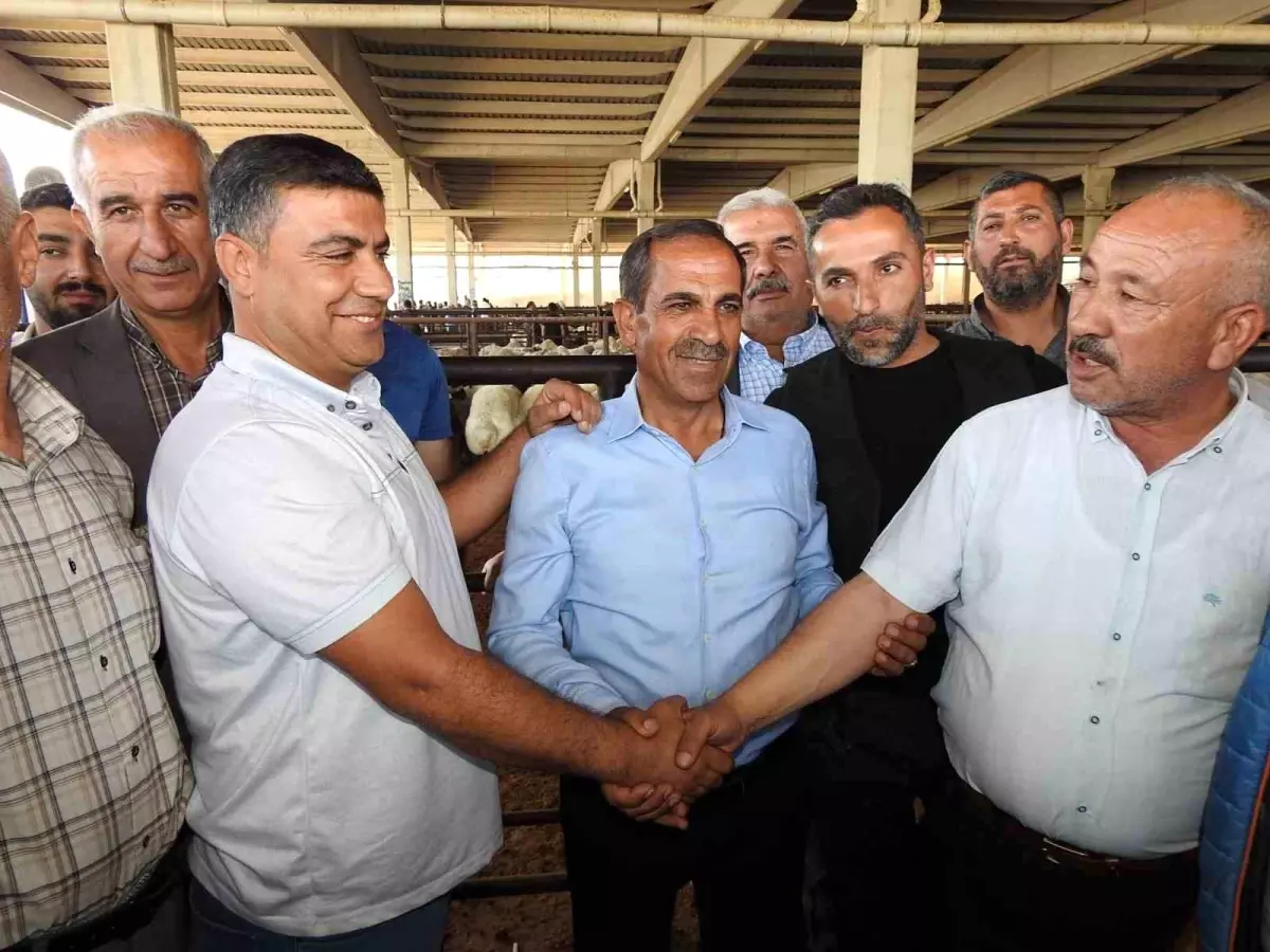 Kurban Bayramı Öncesi Gaziantep'te Hayvan Pazarlarında Hareketlilik Yaşanıyor