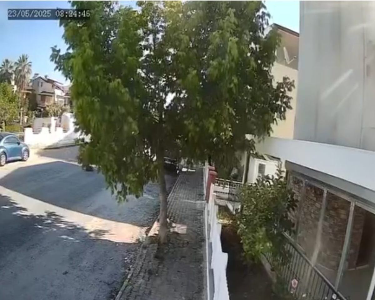 Kuşadası'nda Tur Otobüsü Yolda Yatan Köpeği Ezdi