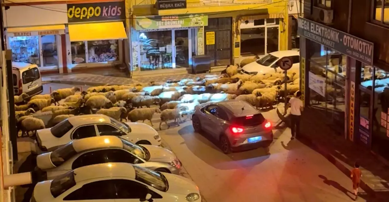 Tokat'ta Yayla Göçü Dron ile Havadan Görüntülendi