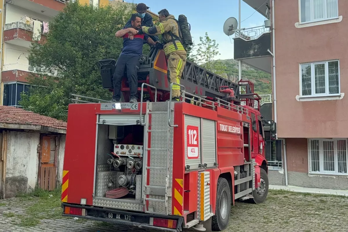Fareleri kaçırmak için yaptıkları plan, tüm mahalleyi zehirliyordu