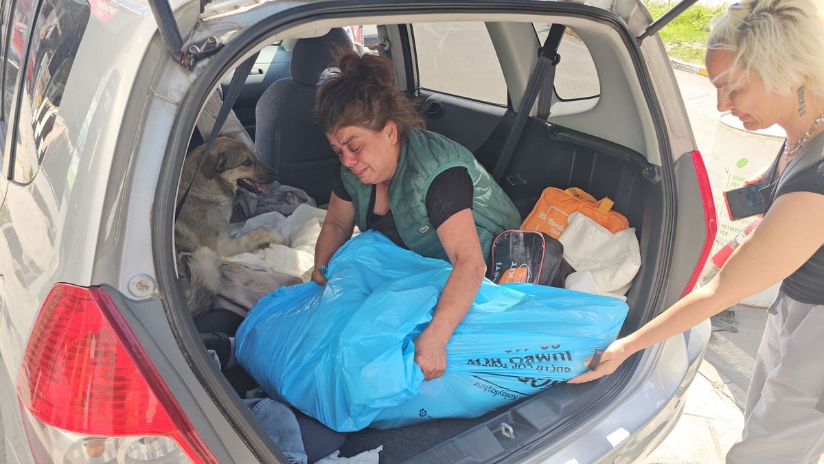Zonguldak'ta Hayvansever Kadın, Ölen Köpeğinin Hatırasına Yeni Bir Sokak Köpeğini Sahipleniyor