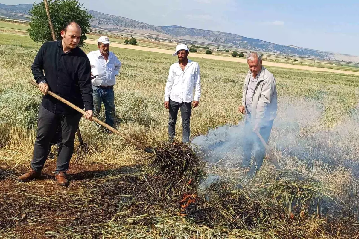 Gaziantep'te Geleneksel Firik Sezonu Başladı