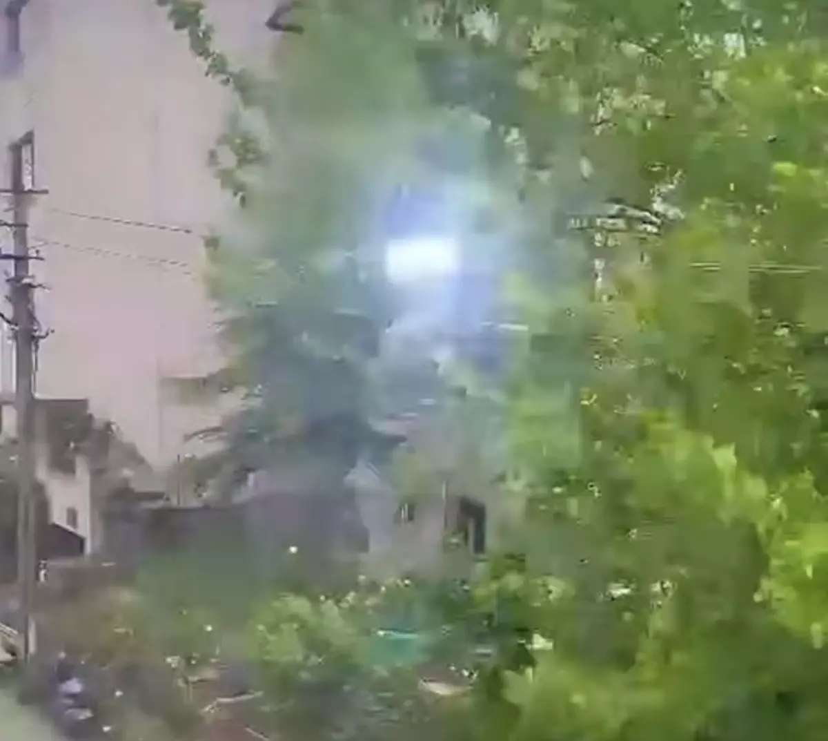 Bartın'da Şiddetli Rüzgar Ağaçları Devirdi, Vatandaşlar Panik Yaşadı