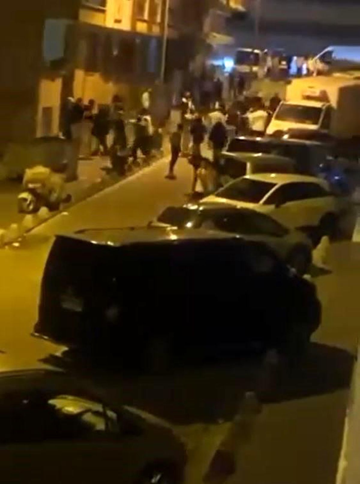 İstanbul'da Köpek Tartışması Kavgaya Dönüştü