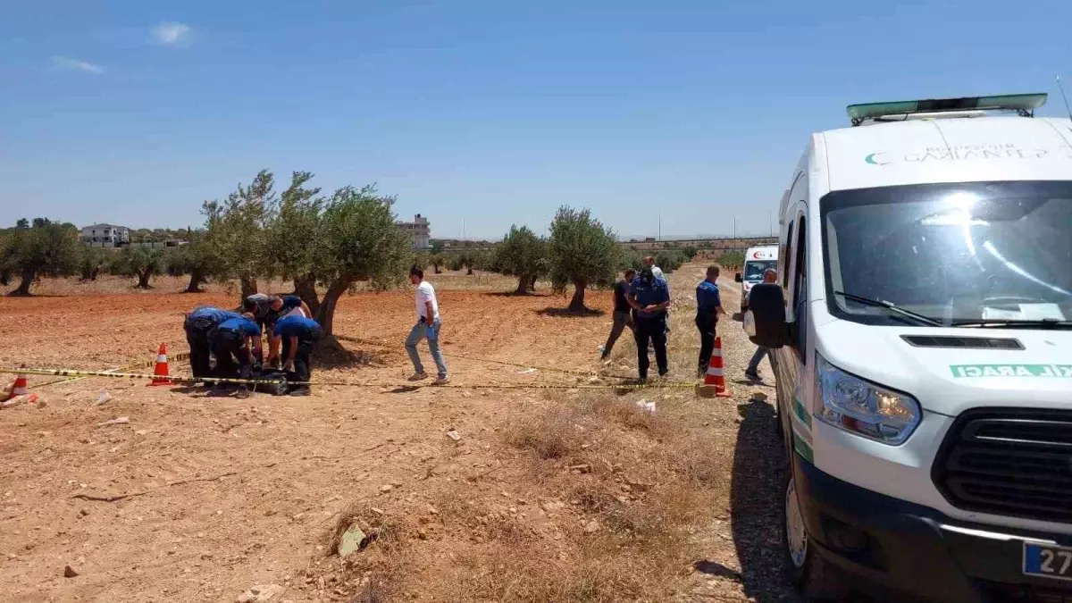 Gaziantep'te 25 Yaşındaki Genç Zeytin Tarlasında Ölü Bulundu