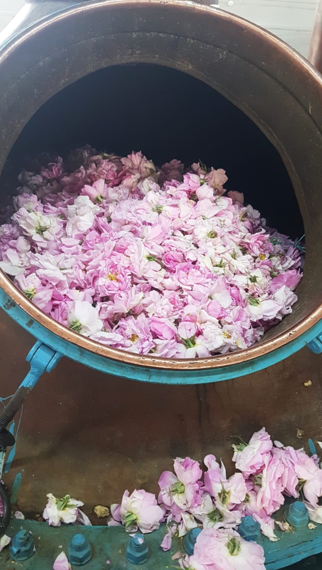 Göller, güller ve gönüller diyarı Burdur'da DoğaFest heyecanı başlıyor