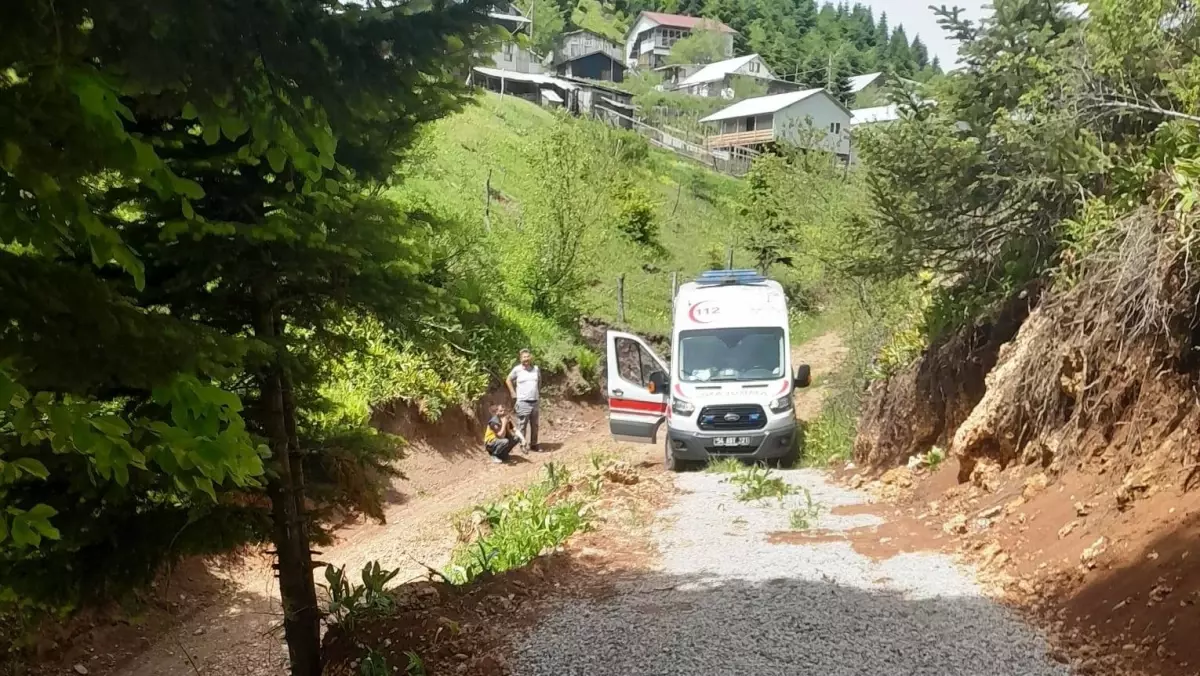 Akyazı'da Kamyonet Kazasında 1 Ölü, 1 Yaralı