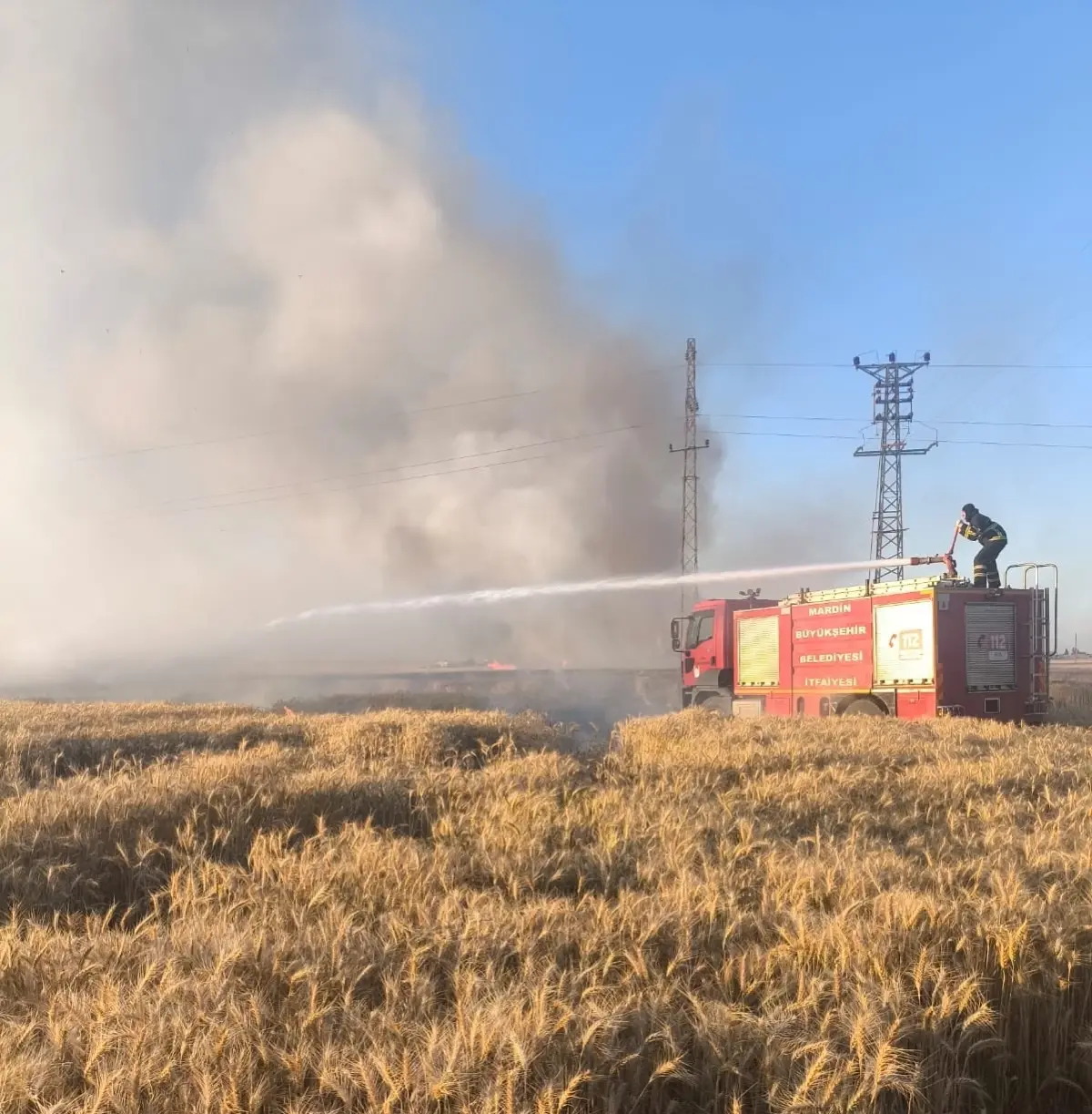 Mardin'de Buğday Tarlalarında Yangın: 155 Dönüm Zarar Gördü