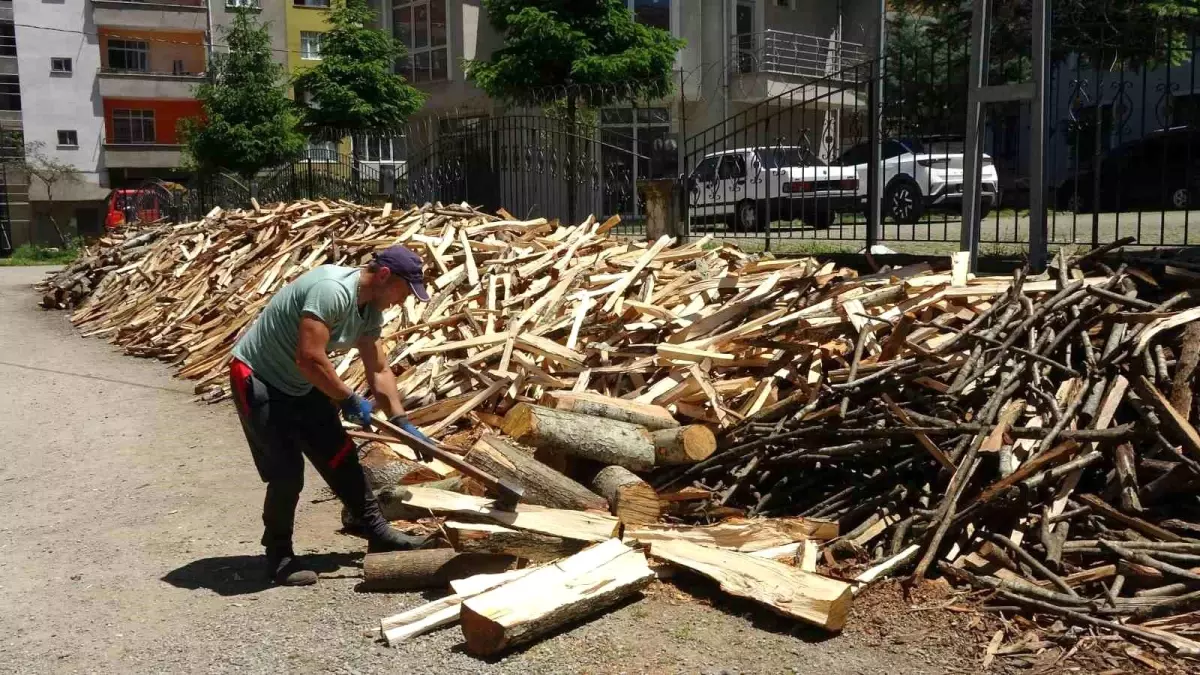 49 Yaşında Odun Kırarak Aylık 80 Bin TL Kazanıyor