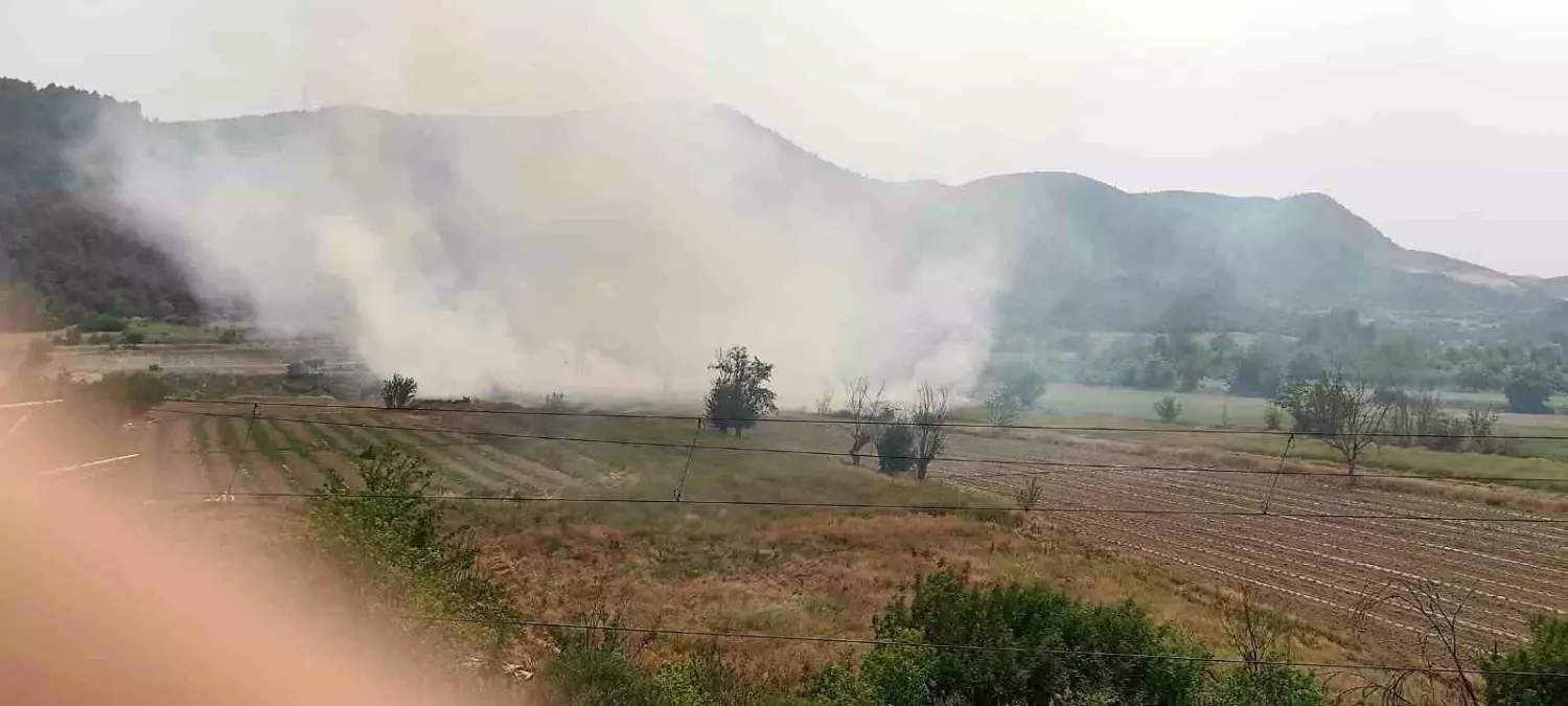 Bilecik'te Anız Yangını Kontrol Altına Alındı