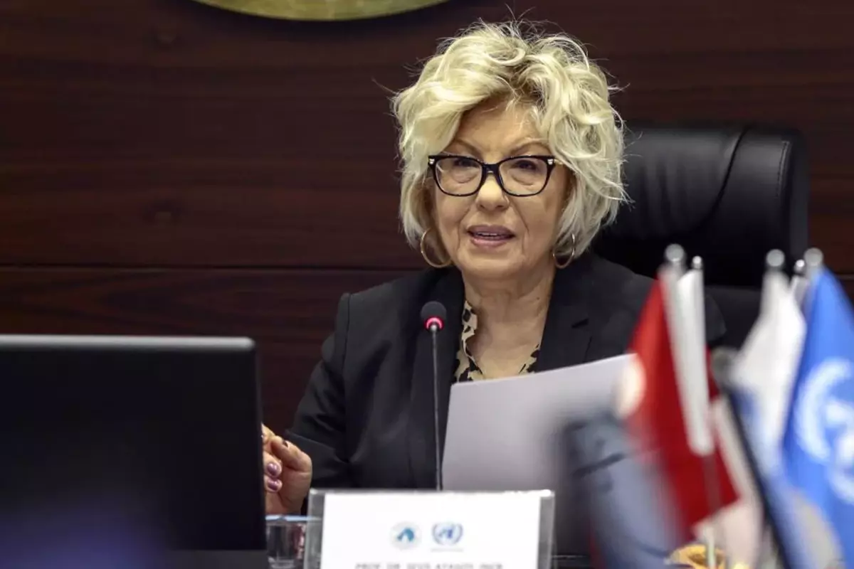 Sevil Atasoy, Birleşmiş Milletler'deki görevine üçüncü kez seçildi