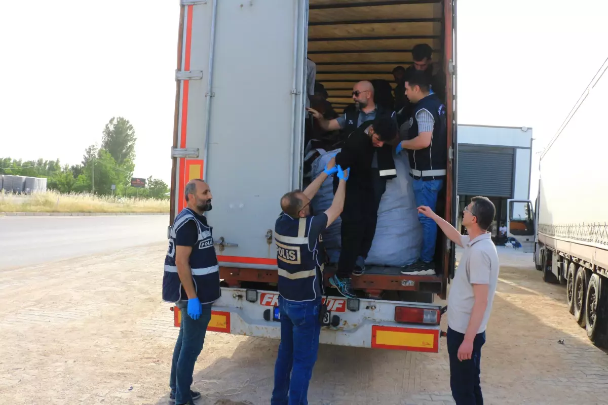 Tokat'ta Kaçak Göçmen Operasyonu: 17 Göçmen Yakalandı
