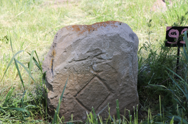 The graves of Turkish tribes resist time under the shade of a 750-year-old monumental tree